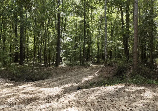 Photo 3 of Land for sale at Johns Shiloh Rd, Brandon, MS 39042 | MLS# 4161524 | Listing updated on 2026-09-17