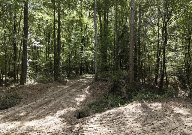 Photo 4 of Land for sale at Johns Shiloh Rd, Brandon, MS 39042 | MLS# 4161524 | Listing updated on 2026-09-17