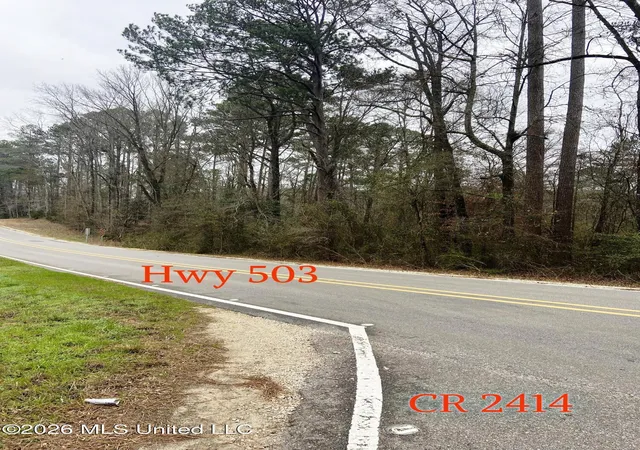 Photo 1 of Land for sale at Ne Highway 503, Rose Hill, MS 39356 | MLS# 4161230 | Listing updated on 2026-09-03
