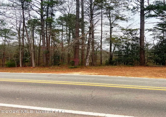 Photo 2 of Land for sale at Ne Highway 503, Rose Hill, MS 39356 | MLS# 4161230 | Listing updated on 2026-09-03