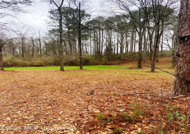 Photo 2 of Land for sale at NE Highway 503, Rose Hill, MS 39356 | MLS# 4161230 | Listing updated on 2026-09-03