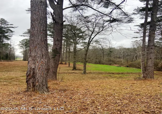 Photo 3 of Land for sale at NE Highway 503, Rose Hill, MS 39356 | MLS# 4161230 | Listing updated on 2026-09-03