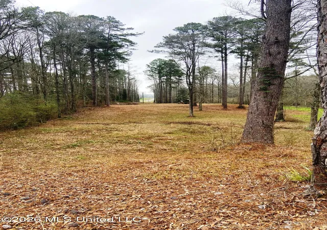 Photo 4 of Land for sale at NE Highway 503, Rose Hill, MS 39356 | MLS# 4161230 | Listing updated on 2026-09-03