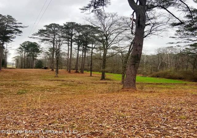 Photo 7 of Land for sale at Ne Highway 503, Rose Hill, MS 39356 | MLS# 4161230 | Listing updated on 2026-09-03