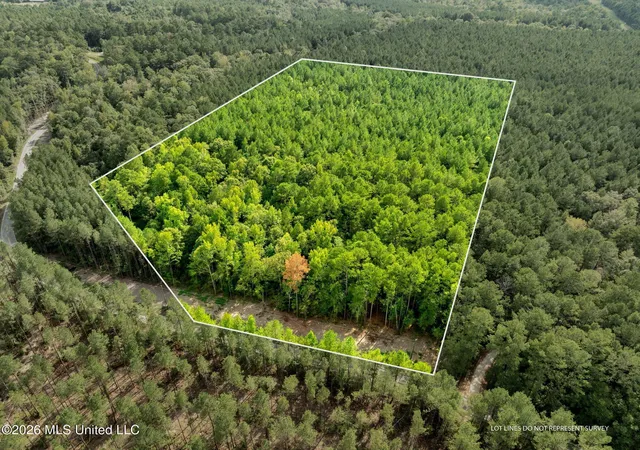 Photo 1 of Land for sale at 15 Acres Porter Hudson Rd, Sumrall, MS 39482 | MLS# 4162098 | Listing updated on 2026-09-11