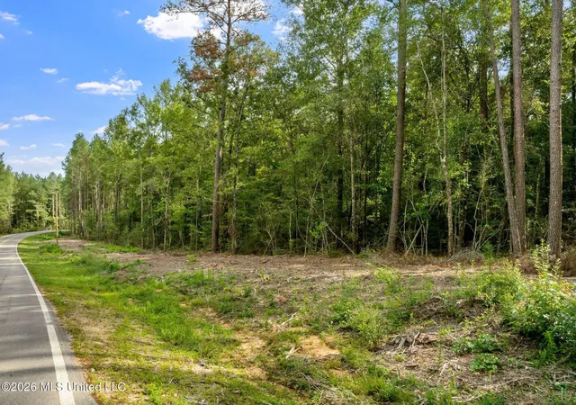 Photo 2 of Land for sale at 15 Acres Porter Hudson Rd, Sumrall, MS 39482 | MLS# 4162098 | Listing updated on 2026-09-11
