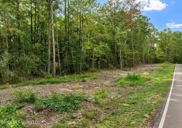 Photo 3 of Land for sale at 15 Acres Porter Hudson Rd, Sumrall, MS 39482 | MLS# 4162098 | Listing updated on 2026-09-11
