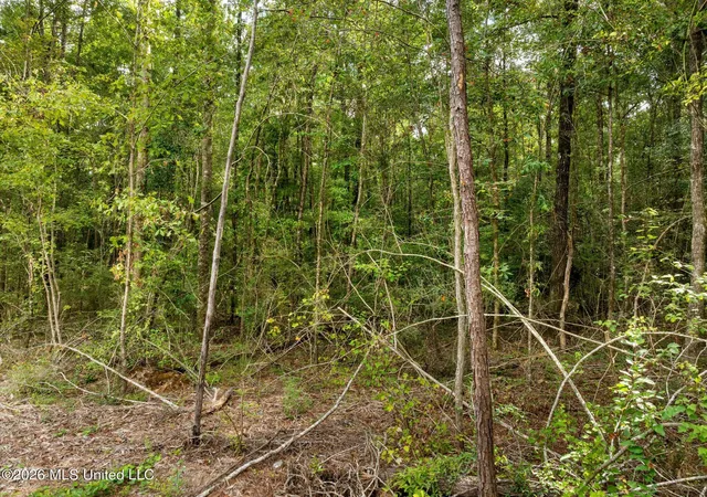 Photo 3 of Land for sale at 15 Acres Porter Hudson Rd, Sumrall, MS 39482 | MLS# 4162098 | Listing updated on 2026-09-11