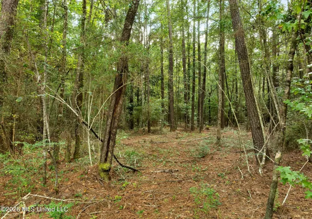 Photo 4 of Land for sale at 15 Acres Porter Hudson Rd, Sumrall, MS 39482 | MLS# 4162098 | Listing updated on 2026-09-11