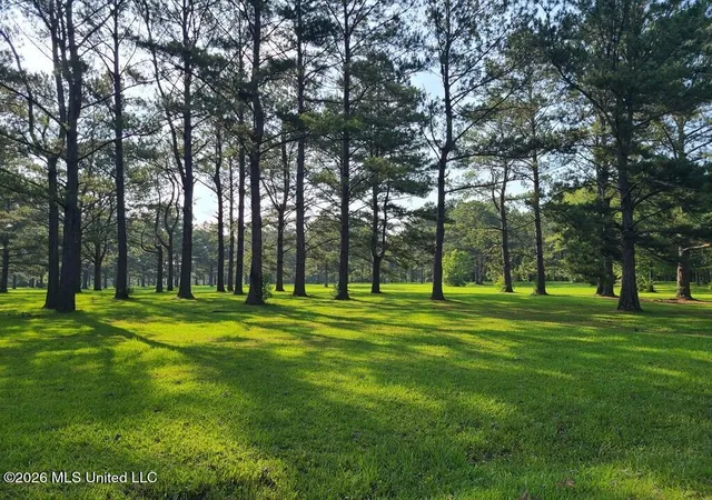 Land for sale at Tbd Thompson Ln, Carriere, MS 39426 | MLS# 4161317
