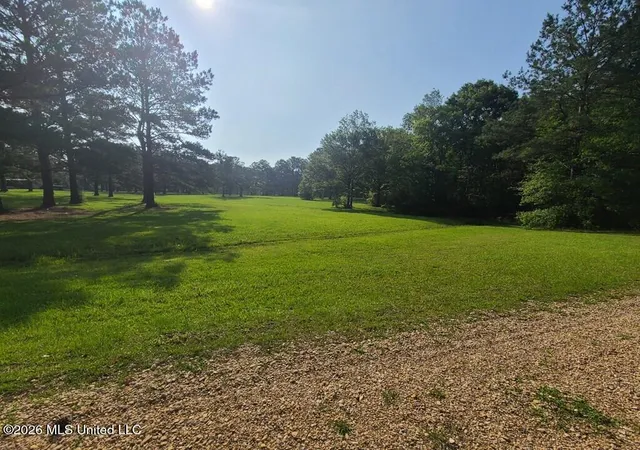 Photo 3 of Land for sale at Tbd Thompson Ln, Carriere, MS 39426 | MLS# 4161317 | Listing updated on 2026-09-03