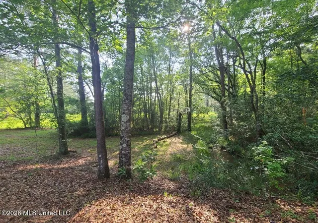 Photo 3 of Land for sale at Tbd Thompson Ln, Carriere, MS 39426 | MLS# 4161317 | Listing updated on 2026-09-03