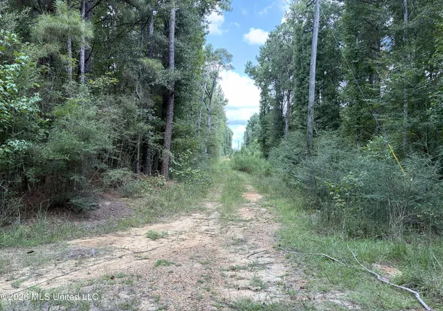 Photo 2 of Land for sale at 1059 Candy Ln, Mc Comb, MS 39648 | MLS# 4161258 | Listing updated on 2026-09-09