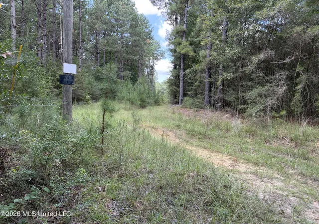 Photo 3 of Land for sale at 1059 Candy Ln, Mc Comb, MS 39648 | MLS# 4161258 | Listing updated on 2026-09-09