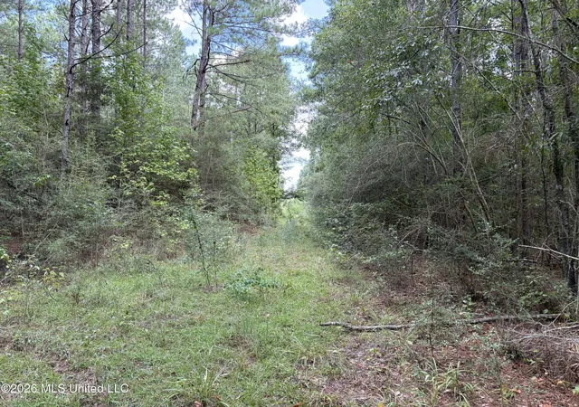 Photo 3 of Land for sale at 1059 Candy Ln, Mc Comb, MS 39648 | MLS# 4161258 | Listing updated on 2026-09-09