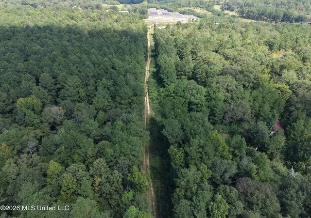 Photo 4 of Land for sale at 1059 Candy Ln, Mc Comb, MS 39648 | MLS# 4161258 | Listing updated on 2026-09-09
