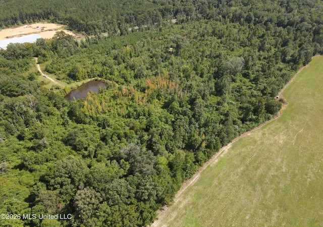 Photo 1 of Land for sale at 2104 Us 51, Bogue Chitto, MS 39629 | MLS# 4161273 | Listing updated on 2026-09-02