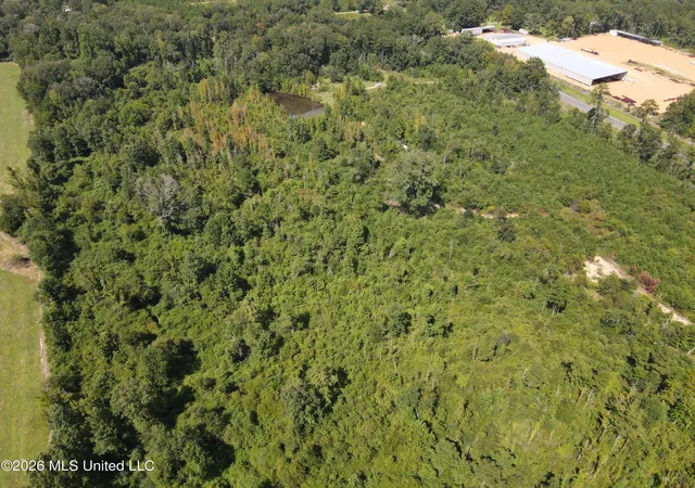 Photo 2 of Land for sale at 2104 Us 51, Bogue Chitto, MS 39629 | MLS# 4161273 | Listing updated on 2026-09-02