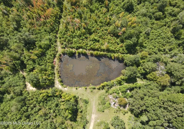 Photo 2 of Land for sale at 2104 Us 51, Bogue Chitto, MS 39629 | MLS# 4161273 | Listing updated on 2026-09-02