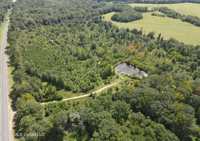 Photo 3 of Land for sale at 2104 Us 51, Bogue Chitto, MS 39629 | MLS# 4161273 | Listing updated on 2026-09-02
