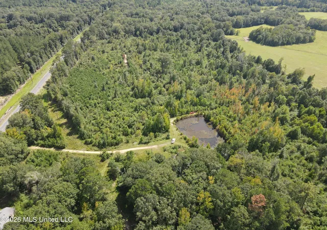 Photo 4 of Land for sale at 2104 Us 51, Bogue Chitto, MS 39629 | MLS# 4161273 | Listing updated on 2026-09-02