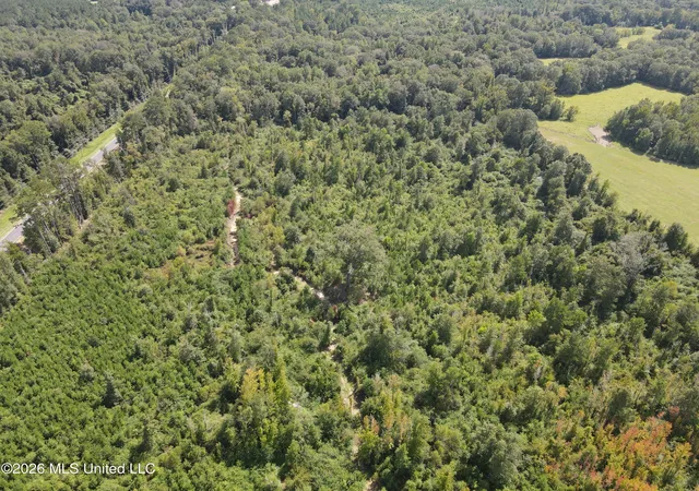 Photo 6 of Land for sale at 2104 Us 51, Bogue Chitto, MS 39629 | MLS# 4161273 | Listing updated on 2026-09-02