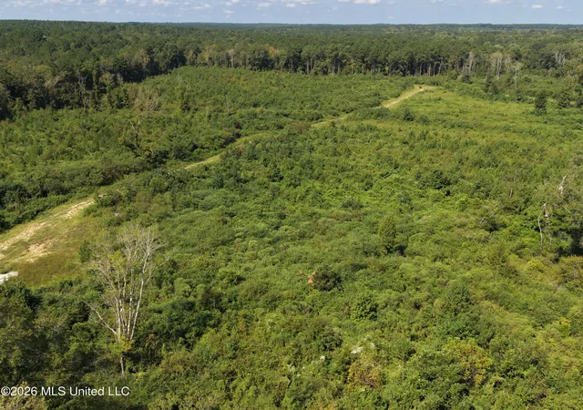 Photo 1 of Land for sale at 8127 Magnolia Holmesville Rd, Mc Comb, MS 39648 | MLS# 4161288 | Listing updated on 2026-09-09