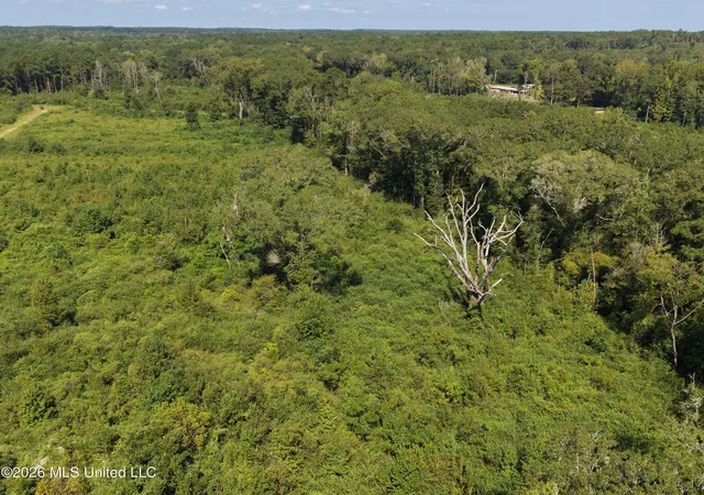 Photo 2 of Land for sale at 8127 Magnolia Holmesville Rd, Mc Comb, MS 39648 | MLS# 4161288 | Listing updated on 2026-09-09