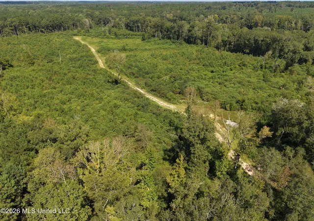 Photo 3 of Land for sale at 8127 Magnolia Holmesville Rd, Mc Comb, MS 39648 | MLS# 4161288 | Listing updated on 2026-09-09