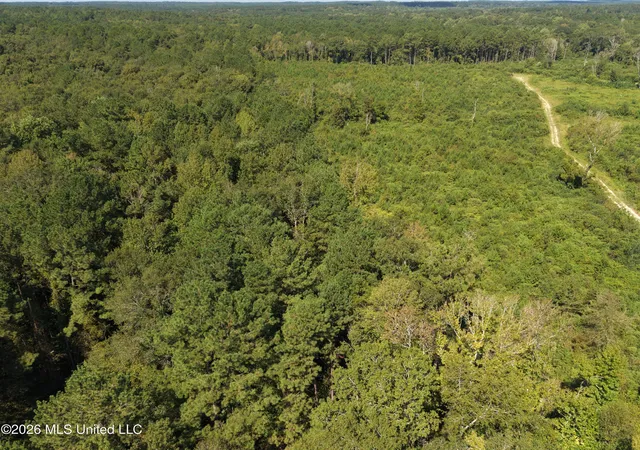 Photo 3 of Land for sale at 8127 Magnolia Holmesville Rd, Mc Comb, MS 39648 | MLS# 4161288 | Listing updated on 2026-09-09