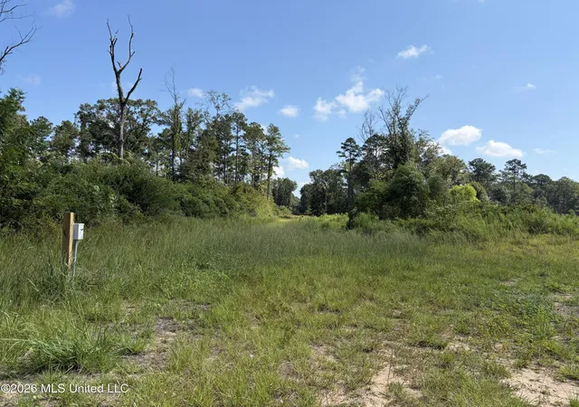 Photo 4 of Land for sale at 8127 Magnolia Holmesville Rd, Mc Comb, MS 39648 | MLS# 4161288 | Listing updated on 2026-09-09