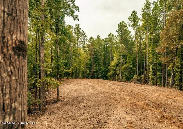 Photo 48 of Land for sale at 2 Smyrna Rd Sw, Meadville, MS 39653 | MLS# 4161334 | Listing updated on 2026-09-03