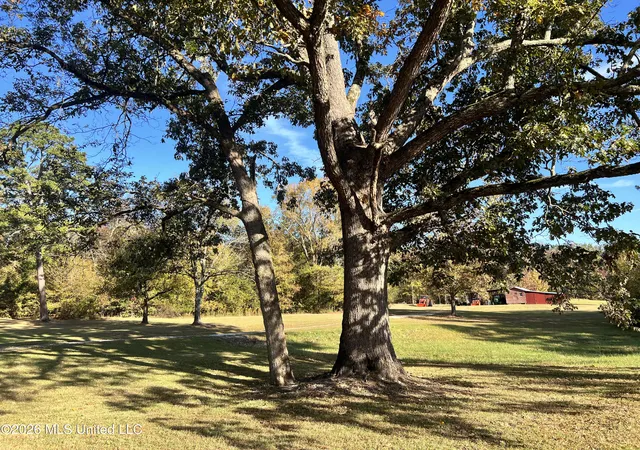 Photo 2 of Land for sale at 1975 Ms 178, Myrtle, MS 38650 | MLS# 4161460 | Listing updated on 2026-09-04