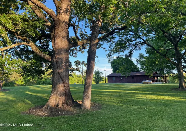 Photo 3 of Land for sale at 1975 Ms 178, Myrtle, MS 38650 | MLS# 4161460 | Listing updated on 2026-09-04