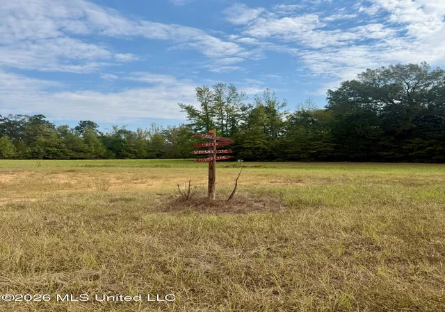 Photo 4 of Land for sale at 1975 Ms 178, Myrtle, MS 38650 | MLS# 4161460 | Listing updated on 2026-09-04