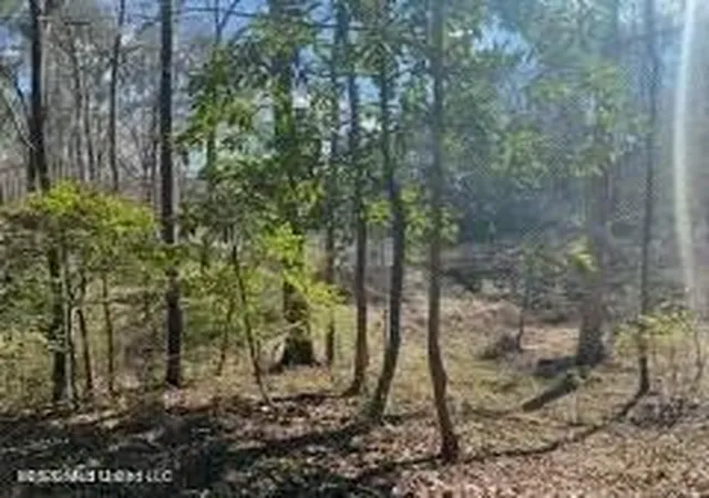 Photo 1 of Land for sale at Turkey Crk Rd, Natchez, MS 39120 | MLS# 4161355 | Listing updated on 2026-09-03