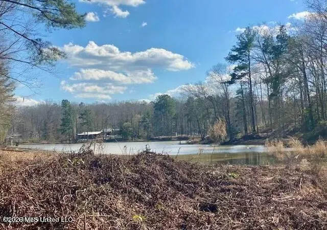 Photo 2 of Land for sale at Turkey Crk Rd, Natchez, MS 39120 | MLS# 4161355 | Listing updated on 2026-09-03
