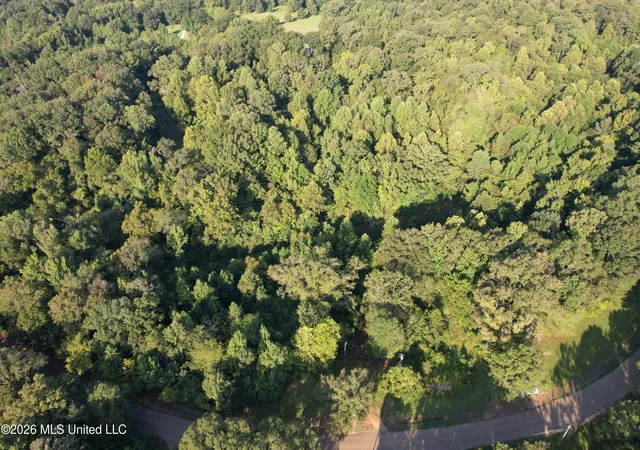 Photo 3 of Land for sale at 895 Burnt House Rd, Vicksburg, MS 39180 | MLS# 4161756 | Listing updated on 2026-09-08