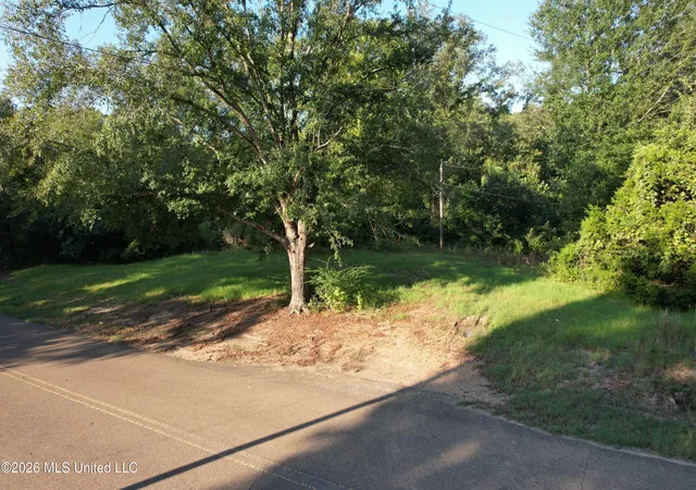 Photo 4 of Land for sale at 895 Burnt House Rd, Vicksburg, MS 39180 | MLS# 4161756 | Listing updated on 2026-09-08
