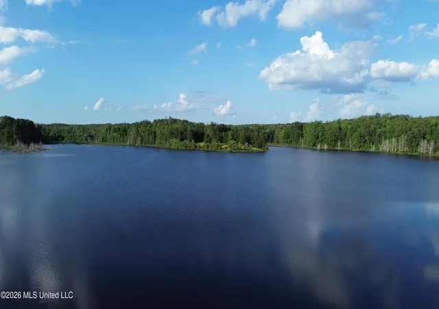 Photo 4 of Land for sale at 1975 Mississippi 178, Myrtle, MS 38650 | MLS# 4161387 | Listing updated on 2026-09-03