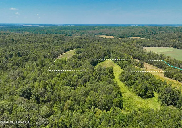 Photo 3 of Sale Pending at Pleasant Ridge Rd, Cruger, MS 38924 | MLS# 4161418 | Listing updated on 2026-09-11