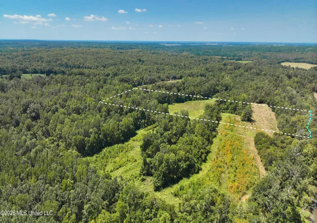 Photo 4 of Sale Pending at Pleasant Ridge Rd, Cruger, MS 38924 | MLS# 4161418 | Listing updated on 2026-09-11