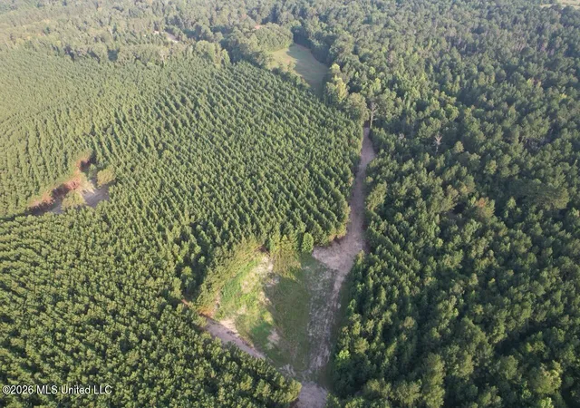 Photo 2 of Land for sale at 5 Old Oldenburg Rd, Meadville, MS 39653 | MLS# 4161425 | Listing updated on 2026-09-04
