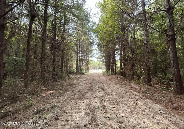 Photo 39 of Land for sale at 5 Old Oldenburg Rd, Meadville, MS 39653 | MLS# 4161425 | Listing updated on 2026-09-04