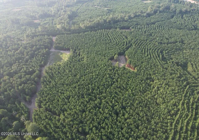Photo 3 of Land for sale at 5 Old Oldenburg Rd, Meadville, MS 39653 | MLS# 4161425 | Listing updated on 2026-09-04