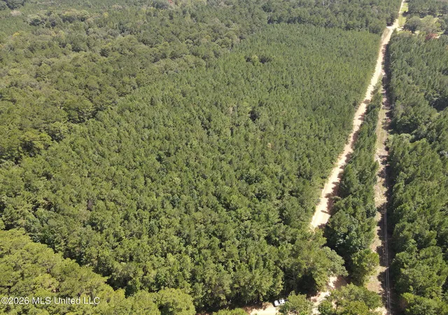 Photo 2 of Land for sale at Mt Gilead, Smithdale, MS 39664 | MLS# 4161661 | Listing updated on 2026-09-06