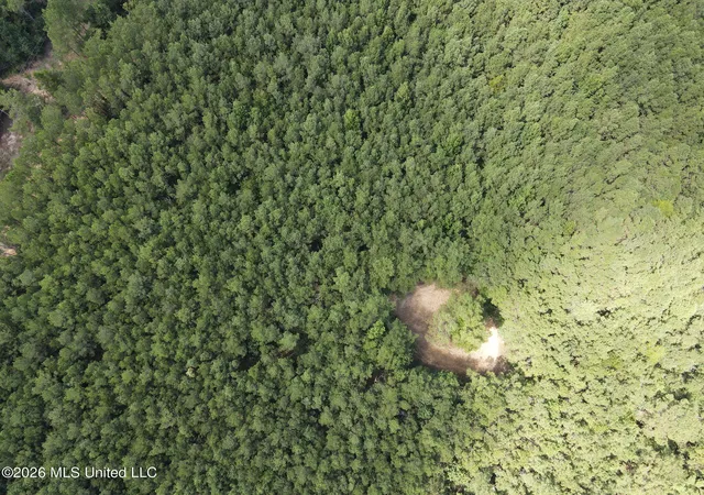 Photo 3 of Land for sale at Mt Gilead, Smithdale, MS 39664 | MLS# 4161661 | Listing updated on 2026-09-06