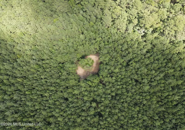 Photo 4 of Land for sale at Mt Gilead, Smithdale, MS 39664 | MLS# 4161661 | Listing updated on 2026-09-06