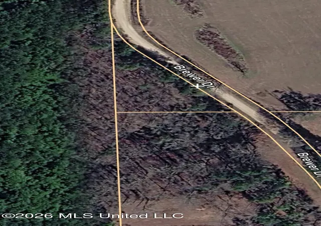 Photo 2 of Land for sale at Brewer Dr, Forest, MS 39074 | MLS# 4161450 | Listing updated on 2026-09-04
