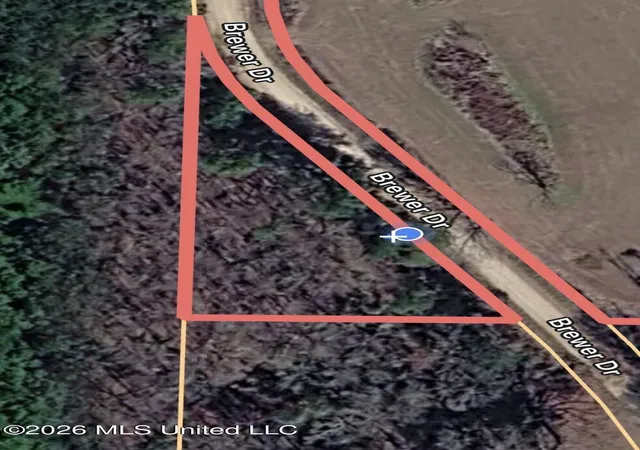 Photo 3 of Land for sale at Brewer Dr, Forest, MS 39074 | MLS# 4161450 | Listing updated on 2026-09-04